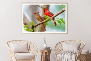Northern Cardinal Pair in Spring Print Premium Poster High Quality choose size - Picture 1 of 4