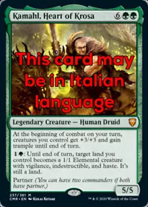 MTG KAMAHL, HEART OF KROSA EXC - KAMAHL, CUORE DI KROSA - CMR - MAGIC - Imagen 1 de 1