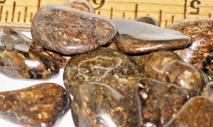 Bronzite natural tumbled stones 1/2" - 1" diameter 3 pieces per price - Picture 1 of 1