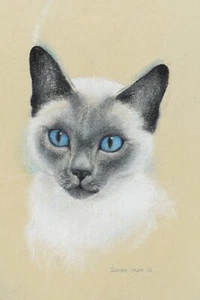 Signed Deidre Hunt Pastel on Paper of A Siamese Cat 'Sammie' Australian Artist - Picture 1 of 8