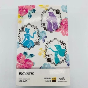 SONY NW-A55 WALKMAN Disney Princess Raperonzolo usato buone condizioni dal Giappone - Foto 1 di 7