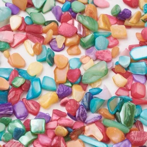 5000pcs Handmade Shell Beads No Hole/Undrilled Chip Seashells Dyed Mixed Color - Picture 1 of 2