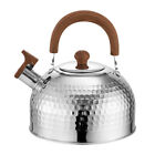 Edelstahl 304 Pfeife Wasserkocher Wasserkrug Aus Teekanne Metall