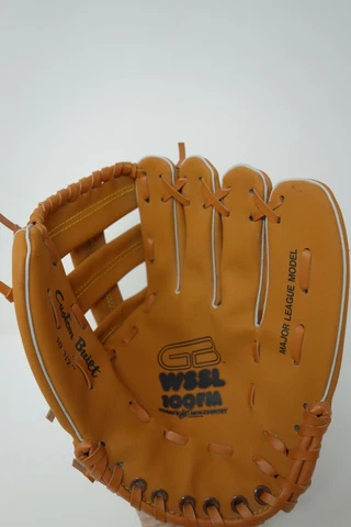 MINT Vintage Greenville Braves Baseball Gloves Special Model American Federal GB Cover