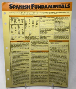 Spanische Grundlagen: Grundlegende Grammatik/Wortschatz - Wesentliche Verben - Gemeinsame Sprachen - Bild 1 von 4