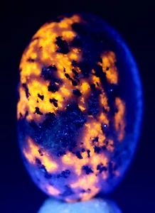 YOOPERLITE SODALITA Cristal Fluorescente Mineral Espécimen Playa Roca MICHIGAN - Imagen 1 de 4