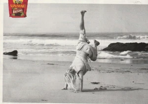 Sun Maiden raisins 2003 print ad 11 x 8 1/2 Girl on the beach - Picture 1 of 6
