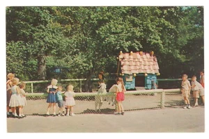 Postcard Heidi And Her Kids Angora Goats Exhibit Children Zoo Belle Isle Detroit - Picture 1 of 2