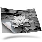 1 X Vinyl Sticker A2 - Bw - Pretty Lotus Lily Flower #35772