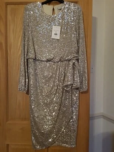Gina Bacconi 'Pieta' Silver Sequin Dress - Stretchy - UK 12 - RRP £350 - BNWT - Picture 1 of 8