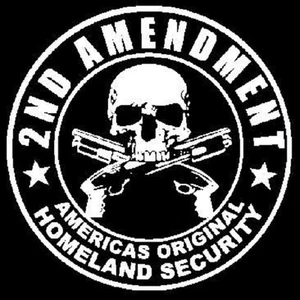 CAMISETA DE BOLSILLO ORIGINAL DE SEGURIDAD NACIONAL DE LA 2A ENMIENDA DE LOS ESTADOS UNIDOS - Imagen 1 de 1