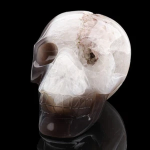 5'' Natural Agate Carved Crystal Skull,Realistic - Skulls Gemstone & Crystal - Picture 1 of 9
