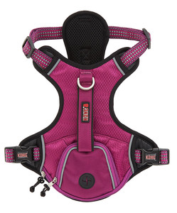 kong dog harness large