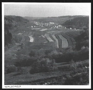 1983 -- WALSCHEID . 4B664 - Picture 1 of 1