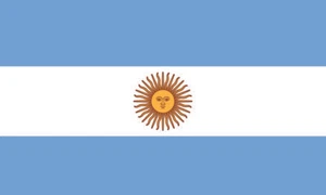 Menge 10 Argentinien Flagge Gesicht Aufkleber 1002 - 1,5" x 2,5" - Bild 1 von 1