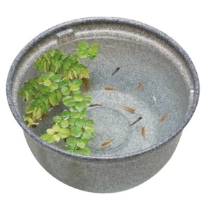 Gex Medaka bowl pot Storm drainage 14.5in Resin Mikage 20oz 3gal Japan killifish - Picture 1 of 4