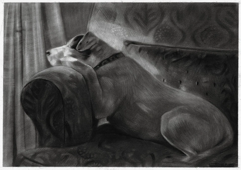 dibujo original A4 154GV obra de arte pastel moderno perro en el sofá Foto 1 de 1