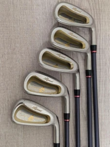 VEGA ALGRAND Iron Set of 5 6-PW Graphite Right handed USED - Picture 1 of 4