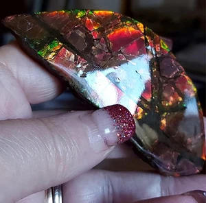 Ammolite Ammonite tabletop Display 90.5x36.5x7.7mm #13168 - Picture 1 of 6