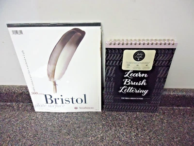 2 NEW! Learn Brush Lettering & Bristol 2 Ply Plate Surface 15 Sheets 11 By 14! - Image 1 of 4