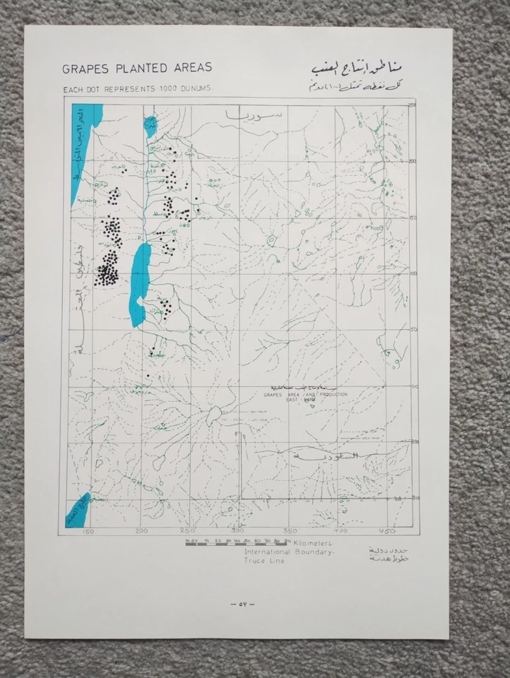 1973 Vintage Government Map of Jordan : Grape Planting Areas - Image 1 of 1
