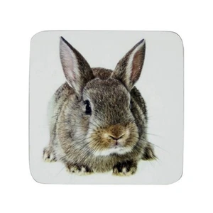 Kork Untersetzer Hase Kaninchen Set Getränkeuntersetzer Gläser Tassen Flaschen - Bild 1 von 4