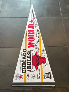 Vintage 1991 CHICAGO BULLS NBA World Champions Basketball Pennant Michael Jordan - Picture 1 of 12