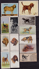 13 Different Vintage BLOODHOUND Tobacco/Cigarette/Tea Dog Cards Lot