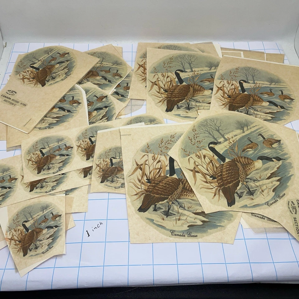 Transferencia de detalles vintage para cerámica gansos canadienses Foto 1 de 1