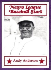 Andy Anderson Mohawk Giants 1984 Decathlon Corp. Negro League Baseball Stars #41