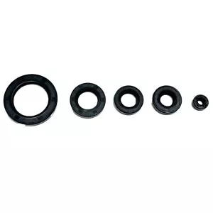 Engine oil seal set kit 250cc CG250 Air Cooled Engine PIT Quad Dirt Bike ATV - Foto 1 di 11
