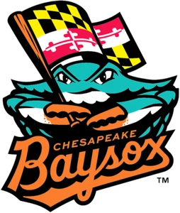 Chesapeake Baysox 4 Inch Vinyl MiLB Die-Cut Decal Sticker *Free Shipping - Picture 1 of 2