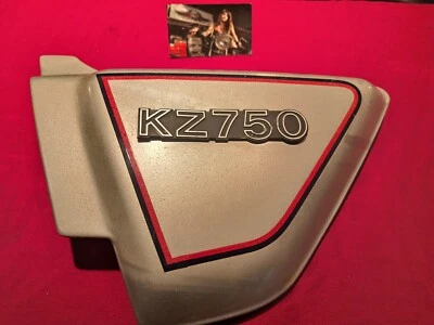 Carenagem capuz painel lateral esquerdo padrão Kawasaki Kz750e 36001-1095 fabricante de equipamento original  - Imagem 1 de 4