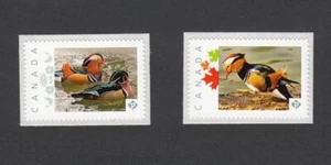 MANDARIN DUCKS = Foto affrancatura francobolli personalizzati MNH Canada 2014 p7-du2 - Foto 1 di 2