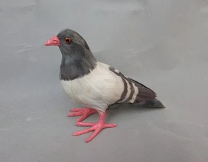 cute simulation pigeons toy gray lovely polyethylene&furs bird doll 20x13x19cm - Imagen 1 de 1
