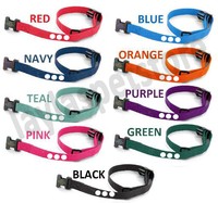 prolite dog collar
