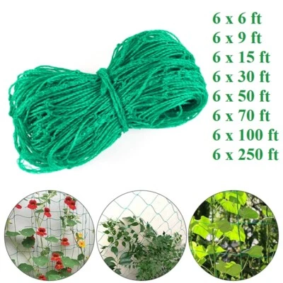 Garden Plant Climbing Net Trellis Netting Mesh Support Fruit Vine 6FT-250FT - Image 1 of 4