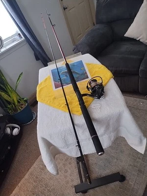 Caña de pescar giratoria lubina Pro Shop 9' luz 4-12 lb y carrete mega fundido Foto 1 de 4