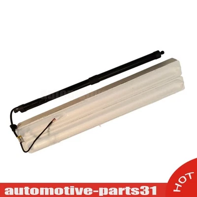 New Right Lift Gate Power Cylinder Strut 689100E060 For 2016-2021 LEXUS RX350 Foto 1 de 4