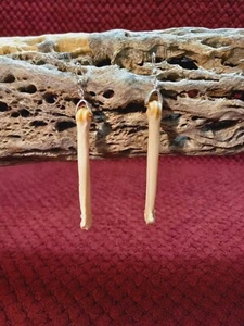 X-Large, Sterling silver Coyote Bone Earrings, Made with real bone and .925 tips - Picture 1 of 5