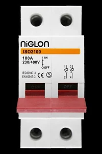 NIGLON 100 AMP DOUBLE POLE MAIN SWITCH DISCONNECTOR ISO2100 - Picture 1 of 6
