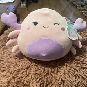 Squishmallows Cosmina die rosa Krabbe 8 Zoll Plüschtier Kellytoy Original Neu mit Etikett - Bild 1 von 6