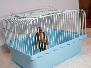 Pet Cage For Hedgehogs, Gerbils, Chinchillas, Guinea Pigs, Etc 27.5" 15.7" 15" - Picture 1 of 8