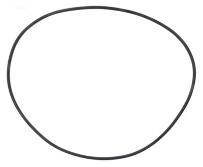 Pentair American Products TITAN CM Quantum Tank O-Ring 590210 5902100 O-498  NEW - Image 1 of 2