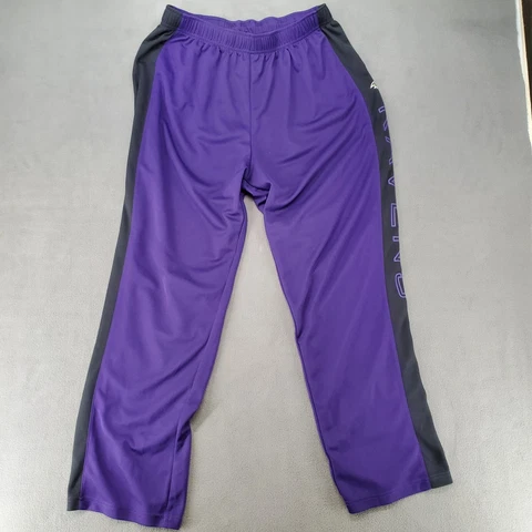 Baltimore Ravens Team apparel Pants Size Large purple Cover