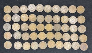 Tube of 50 Indian Head Cents Average Circulated Condition - Picture 1 of 5