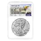 2024 1 oz Silver American Eagle NGC MS 70 ER Mountain