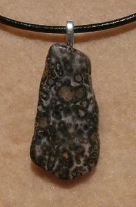 Collar con cordón de cuero negro piel de leopardo broche plateado 18"+ - Imagen 1 de 12