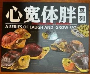 9pcs Animal Planet A Series Of Laugh And Grow Fat XIX Turtle Statue Toy In Stock - Picture 1 of 4