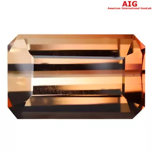 7,14 ct AIG zertifiziertes funkelndes Achteck (14 x 9 mm) unbeheizter Bi Turmalin - Bild 1 von 3